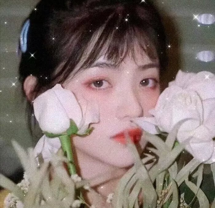 王子与公主